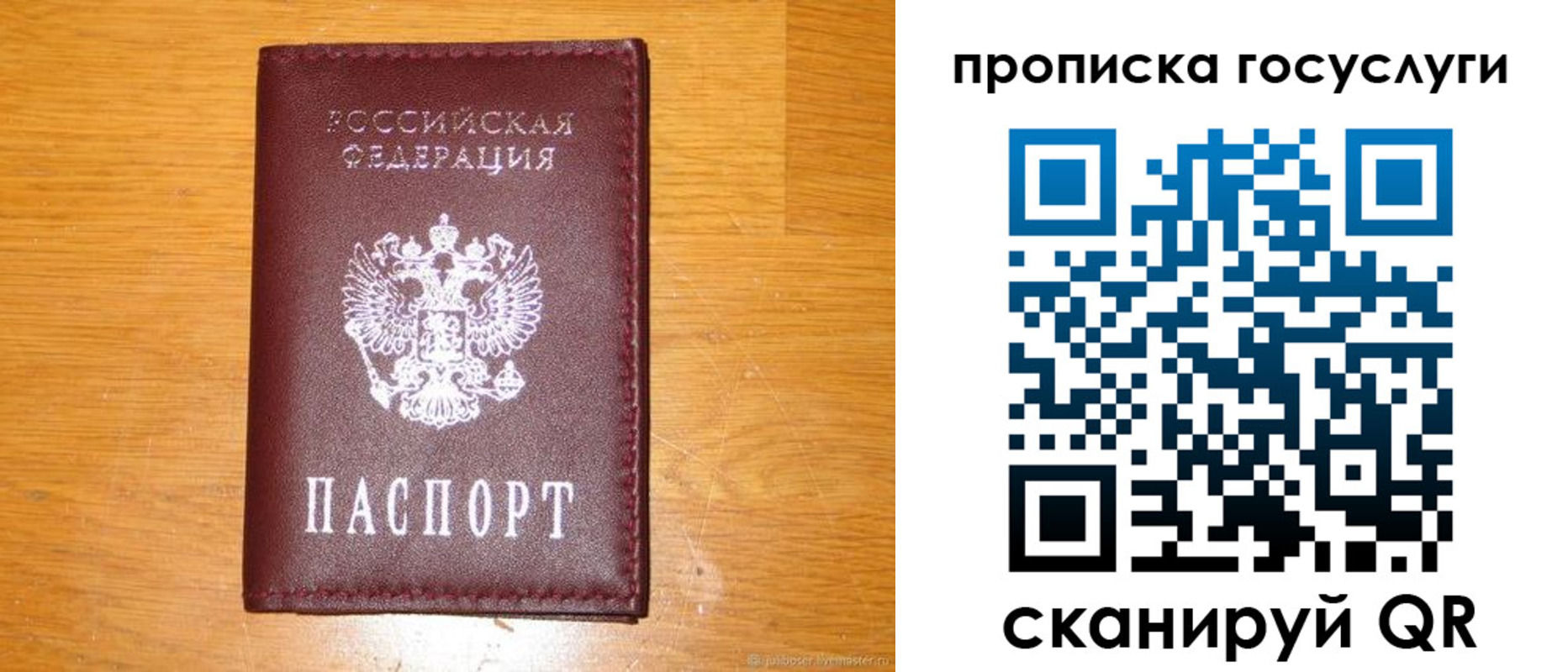 найти адрес прописки в Полярных Зорях