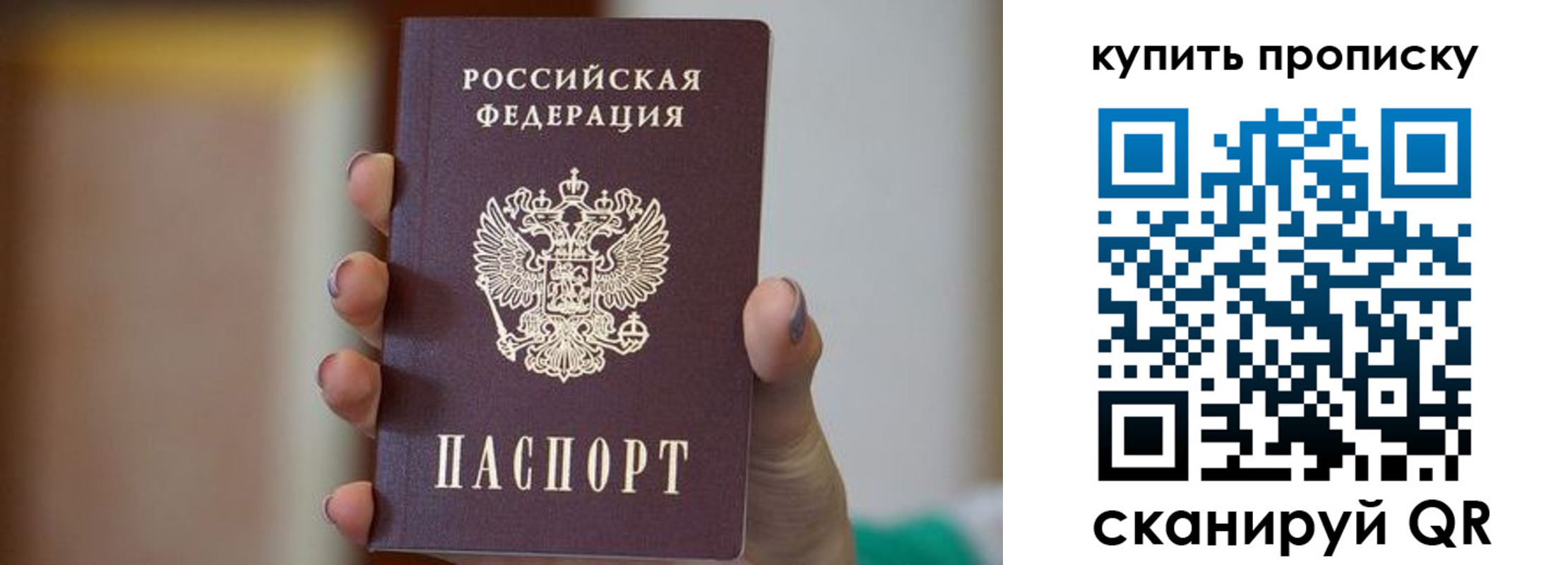 найти адрес прописки в Полярных Зорях